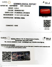 6.53/CT Natural Red Coral With Govt. Lab Certificate-12377D50197